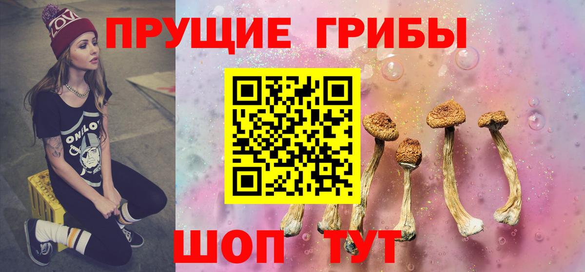 Псилоцибиновые грибы мицелий  Псилоцибиновые грибы Magic Shrooms  Ковров  Вход с VPN 